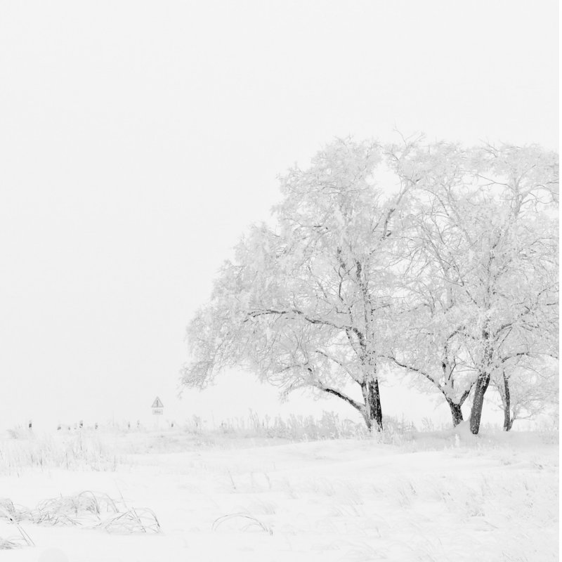Hiver8